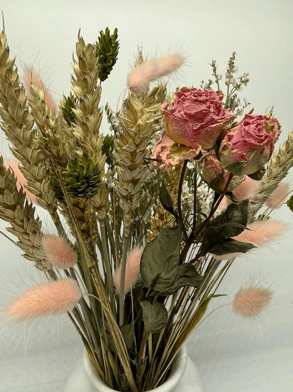 Roseveil view 2